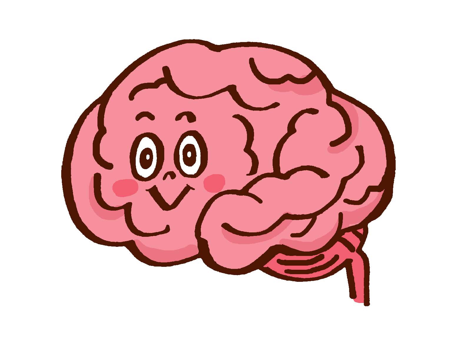脳のイラスト画像